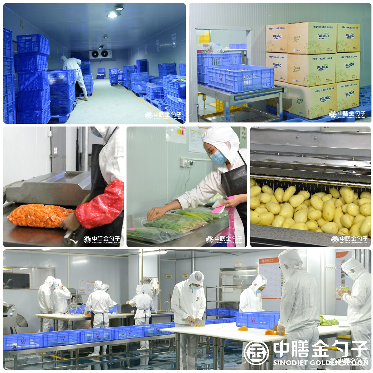 迅捷图片转换器-2022413-1649829858756.jpg